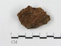 登錄號:F0019921藏品圖，第4張