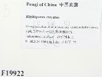 登錄號:F0019922藏品圖，第2張