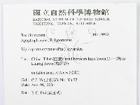 登錄號:F0019922藏品圖，第3張