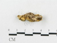 登錄號:F0019922藏品圖，第4張