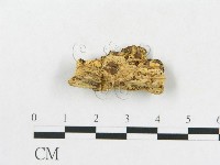 登錄號:F0019922藏品圖，第5張
