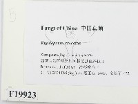 登錄號:F0019923藏品圖，第2張