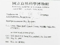 登錄號:F0019923藏品圖，第3張