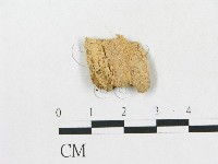 登錄號:F0019923藏品圖，第1張
