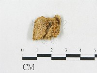 登錄號:F0019923藏品圖，第4張