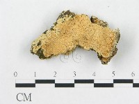 登錄號:F0019924藏品圖，第4張