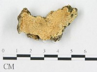 登錄號:F0019924藏品圖，第5張