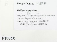 登錄號:F0019925藏品圖，第2張