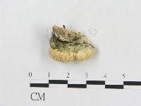 登錄號:F0019925藏品圖，第4張