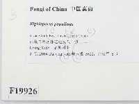 登錄號:F0019926藏品圖，第2張