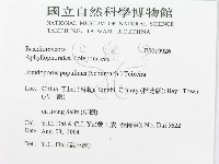 登錄號:F0019926藏品圖，第3張