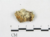 登錄號:F0019926藏品圖，第4張