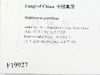 登錄號:F0019927藏品圖，第2張