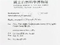 登錄號:F0019927藏品圖，第3張