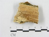 登錄號:F0019927藏品圖，第4張