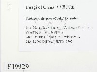 登錄號:F0019929藏品圖，第2張