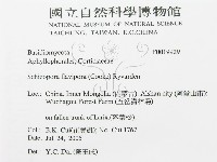 登錄號:F0019929藏品圖，第3張