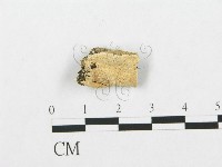 登錄號:F0019929藏品圖，第1張