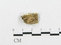 登錄號:F0019929藏品圖，第4張