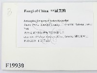 登錄號:F0019930藏品圖，第2張