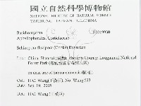 登錄號:F0019930藏品圖，第3張