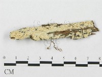 登錄號:F0019930藏品圖，第1張