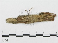 登錄號:F0019930藏品圖，第4張