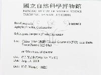 登錄號:F0019931藏品圖，第3張
