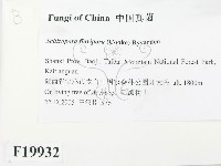 登錄號:F0019932藏品圖，第2張
