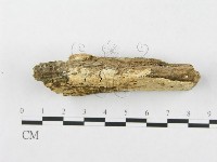 登錄號:F0019932藏品圖，第4張