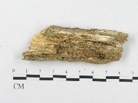 登錄號:F0019932藏品圖，第5張