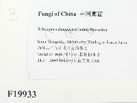 登錄號:F0019933藏品圖，第2張
