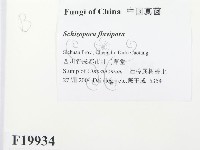 館號:F0019934藏品圖，第2張