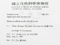 館號:F0019934藏品圖，第3張