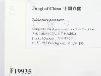 登錄號:F0019935藏品圖，第2張