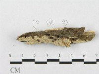 登錄號:F0019935藏品圖，第4張