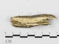 登錄號:F0019935藏品圖，第5張