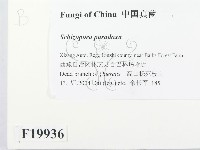 登錄號:F0019936藏品圖，第2張