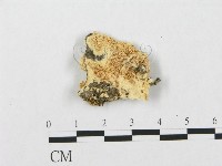 登錄號:F0019936藏品圖，第1張