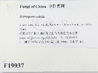 登錄號:F0019937藏品圖，第2張