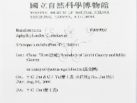 登錄號:F0019937藏品圖，第3張