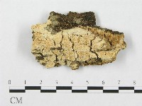 登錄號:F0019937藏品圖，第1張