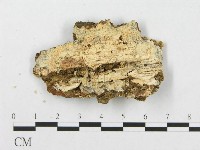 登錄號:F0019937藏品圖，第4張