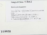 登錄號:F0019938藏品圖，第2張