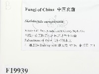 登錄號:F0019939藏品圖，第2張