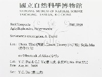 登錄號:F0019939藏品圖，第3張