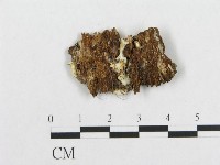 登錄號:F0019939藏品圖，第4張