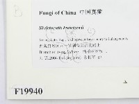 登錄號:F0019940藏品圖，第2張