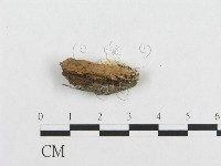 登錄號:F0019940藏品圖，第4張