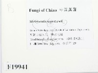 登錄號:F0019941藏品圖，第2張